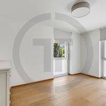 Rent 6 bedroom apartment in Genève