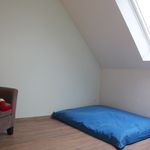 Rent 3 bedroom apartment in Vorselaar