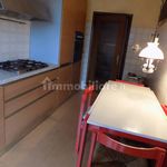Rent 4 bedroom apartment of 100 m² in Padua