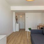 Rent 1 bedroom apartment in Borriana