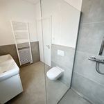 Rent 4 bedroom house of 90 m² in Graz