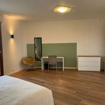Rent 4 bedroom apartment in Treviso