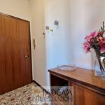 Rent 5 bedroom apartment of 120 m² in Padova