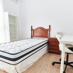 Alquilar 5 dormitorio apartamento en Sevilla