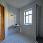 Rent 1 bedroom apartment of 28 m² in Dresden