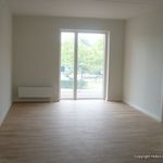 Rent 2 bedroom apartment of 78 m² in Hobro