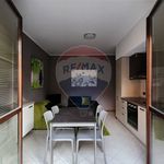Rent 2 bedroom apartment of 53 m² in Novara