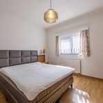 Rent 1 bedroom apartment in Beveren