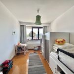 Huur 2 slaapkamer appartement in Wommelgem