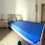 Rent 3 bedroom apartment in Nice