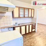 Rent 2 bedroom apartment of 49 m² in Bílina