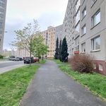 Rent 2 bedroom apartment of 40 m² in Plzeň