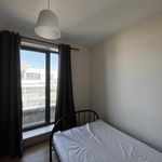 Rent 2 bedroom apartment of 28 m² in Rodez