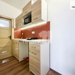 Rent 2 bedroom apartment of 38 m² in Zlín