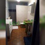 Rent 1 bedroom apartment in Longvic