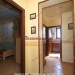 Rent 3 bedroom apartment of 80 m² in Bagheria