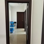 Rent 2 bedroom apartment of 85 m² in Bari