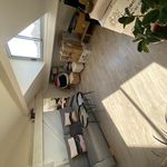 Rent 2 bedroom apartment of 41 m² in LYON 03