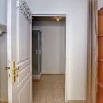 Rent 1 bedroom apartment of 28 m² in Vaires-sur-Marne