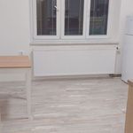 Rent 1 bedroom apartment of 48 m² in Olomouc