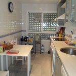 Rent 1 bedroom house of 77 m² in Chipiona