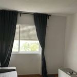 Rent 3 bedroom apartment in Santo António dos Cavaleiros