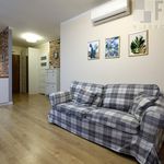 Rent 2 bedroom apartment of 41 m² in Będzin