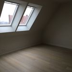 Rent 3 bedroom house in Oostrozebeke