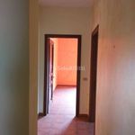 Rent 3 bedroom apartment of 100 m² in Veroli
