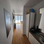 Rent 3 bedroom apartment of 80 m² in munich
