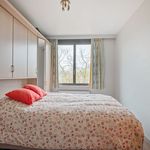 Rent 1 bedroom apartment in Brasschaat
