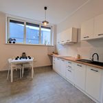 Rent 2 bedroom apartment of 39 m² in Zgierz