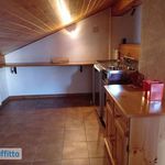 Affitto 3 camera appartamento di 122 m² in Primiero San Martino di Castrozza