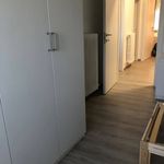 Affitto 2 camera appartamento di 72 m² in Bologna
