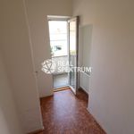 Rent 1 bedroom apartment of 70 m² in Brno