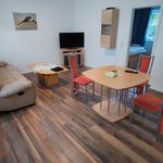 Rent 2 bedroom apartment of 45 m² in Alsfeld