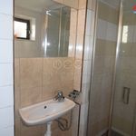 Rent 1 bedroom apartment of 45 m² in Svratouch