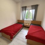 Rent 3 bedroom apartment of 49 m² in Číhošť