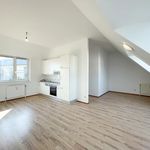 Miete 1 Schlafzimmer wohnung von 46 m² in Vienna