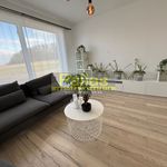 Rent 1 bedroom apartment of 291 m² in Píšťany