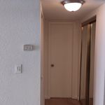 Rent 1 bedroom apartment of 840 m² in Miami