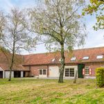 Rent 4 bedroom house of 20000 m² in Turnhout