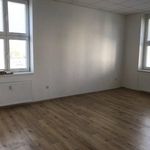 Rent 1 bedroom apartment of 21 m² in Praha