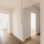 Rent 2 bedroom apartment of 59 m² in Chemnitz