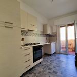 Rent 3 bedroom apartment of 73 m² in Trieste