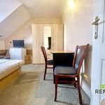 Rent 1 bedroom apartment of 22 m² in Kunovice
