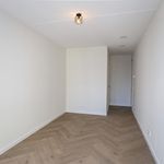 Rent 3 bedroom apartment of 119 m² in 's-Gravenhage
