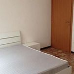 Rent a room of 120 m² in Bologna