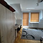 Wynajmij 6 sypialnię dom z 220 m² w Chełm
