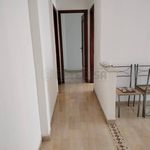 Rent 2 bedroom apartment of 60 m² in Messina